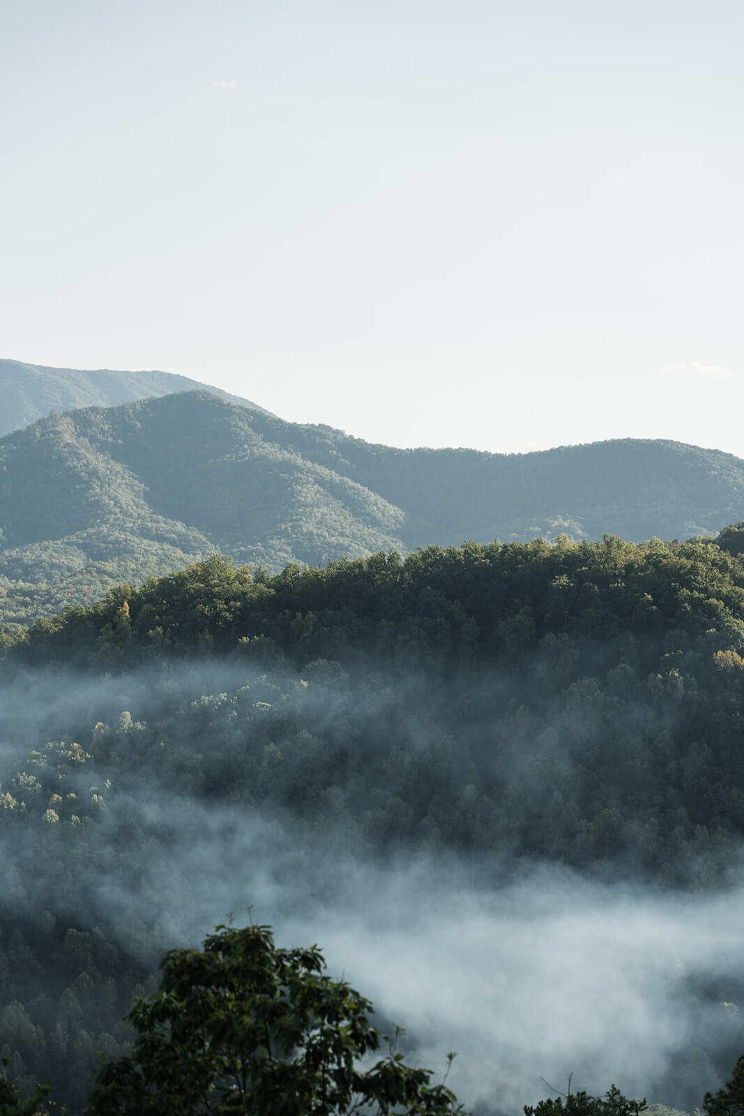 Breathtaking fall mountain scenery surrounding The Magnolia Venue in the Great Smoky Mountains